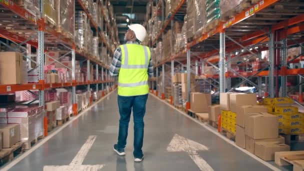 Back View African American Man Walking Warehouse Man Reflective Vest — Stock Video