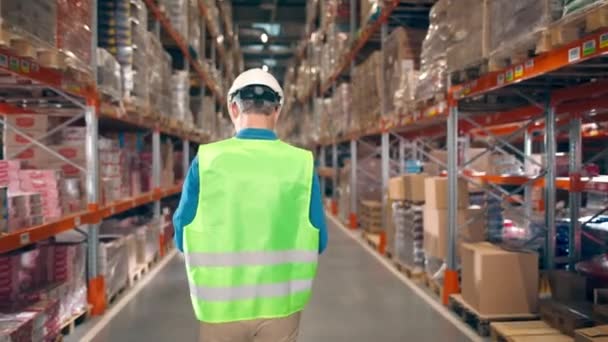 Back View Caucasian Indusrial Man Walking Warehouse Man Reflective Vest — Stock Video