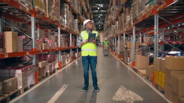Afrucan American Man Standing Warehouse Industrial Male Helmet Reflective Jacket — Stock Video