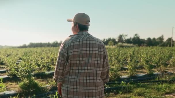 女性農民のリアビュー 緑のプランテーションで自信を持った女性のレビュー チェッカーのシャツと帽子をかぶった女性の背中のショット 農業に従事する女性農家 ハーベストシーズン — ストック動画