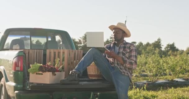 販売のための収穫を準備する男性フィールドの所有者 アフリカ系アメリカ人の農夫が木箱でトランクに座っている わら帽子をかぶってノートパソコンを持っている男 植物栽培に従事する男性 — ストック動画