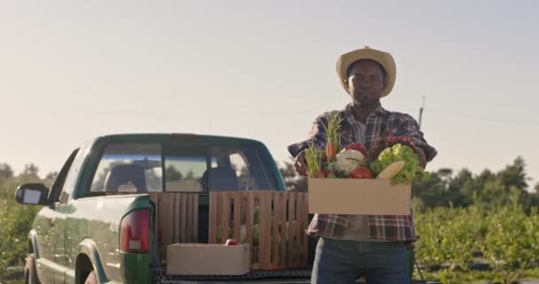Manlig Bonde Nöjd Med Första Grödan Afrikansk Amerikansk Man Som — Stockvideo