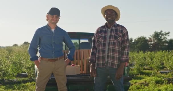 Veselí Muži Stojící Plantáži Sklizně Dva Farmáři Usmívají Pozadí Pickupu — Stock video