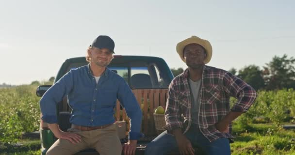 収穫のプランテーションで日光を浴びる喜びの男性 ピックアップトラックのトランクに座っている2人の農民 多文化男性が収穫シーズンを終えました 武器を持ったアフリカ系アメリカ人男性 — ストック動画