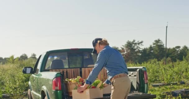 Χαρούμενος Αγρότης Ποζάρει Ξύλινο Κουτί Άνδρας Αγρότης Ικανοποιημένος Συγκομιδή Άνθρωπος — Αρχείο Βίντεο