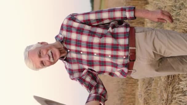 カメラを見ながらハットを握っている白人男性の垂直ビデオ 古い農民が小麦のプランテーションに立っている 農業プラント ハーベストシーズン ファームランドのコンセプト — ストック動画