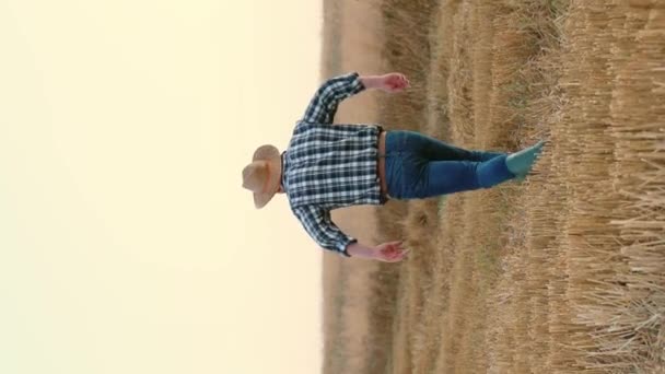 コーカサス人の父親が息子を抱きしめ 大きな小麦畑に立っている間に彼を空中に囲みました ハッピーファミリーは 農場で一生懸命働いた後 一緒に楽しい時間を過ごしています 幸せな瞬間 — ストック動画