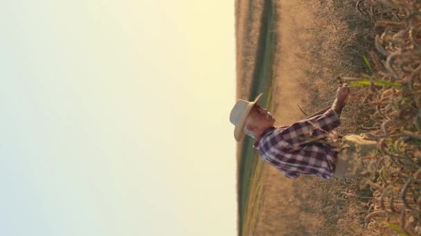大きな畑で熟した小麦を刈る帽子の大人のコーカサス農家の垂直な眺め 農場のプランテーションで一生懸命働いている忙しい男 農業ビジネスについて 植物を栽培する 収穫コンセプト — ストック動画