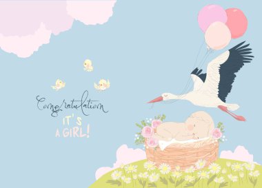 Leylek, Bebek Kız 'ı getiriyor. Bu bir kız. Bebek duş kartı. Vektör İllüstrasyonu