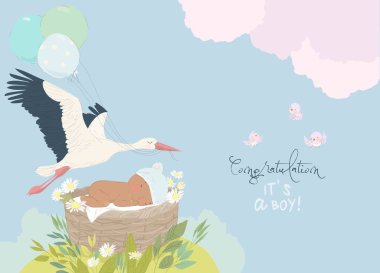 Leylek, Bebek Çocuk 'u getiriyor. Bu bir oğlan. Bebek duş kartı. Vektör İllüstrasyonu