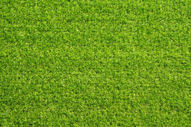 yeşil çim arka plan dokusu
