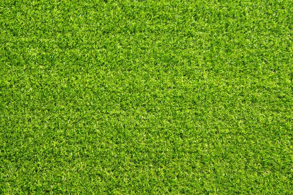 yeşil çim arka plan dokusu