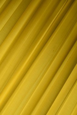 Sarı ve beyaz arka plan