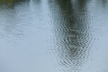 Nehirdeki su yansıması