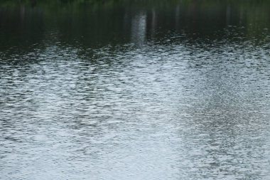 Güzel göl manzarası