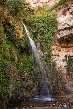 The National Park Ein Gedi, Israel.