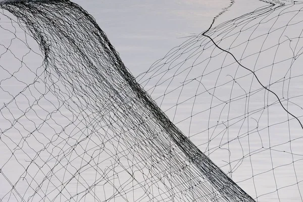 Abstract views of protective nets against birds on fish ponds.