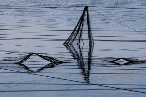 Abstract views of protective nets against birds on fish ponds.