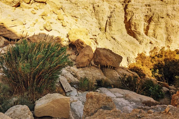 National Park Ein Gedi Israel — Zdjęcie stockowe