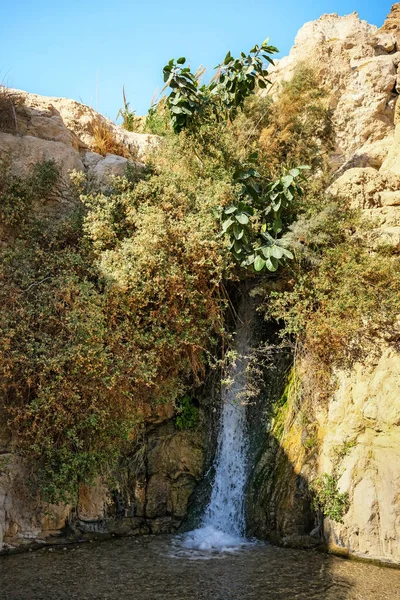 The National Park Ein Gedi, Israel.