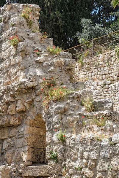 Ιερουσαλήμ Ισραήλ Μαΐου 2022 Ερείπια Της Αρχαίας Πισίνας Bethesda Στην — Φωτογραφία Αρχείου