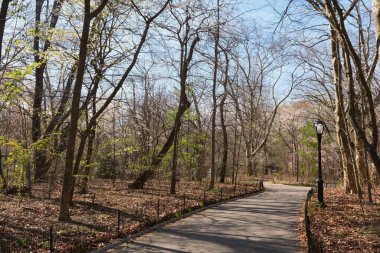 New York, ABD - 13 Nisan 2023: Baharda Manhattan 'ın Central Park manzarası.