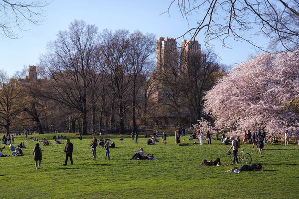 New York, USA - April 13, 2023: People resting on a meadow in the Manhattan's Central Park.