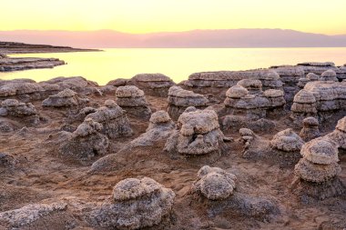 Tuzla kaplı taşlarla ölü deniz kıyısı.