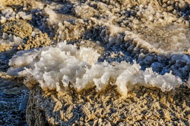 Tuzla kaplı taşlarla ölü deniz kıyısı.