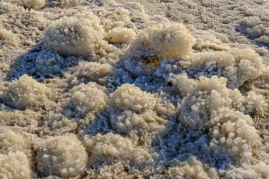 Tuzla kaplı taşlarla ölü deniz kıyısı.