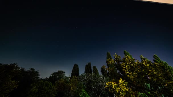 キプロスの夏の夜にいくつかの木の上に夜空のタイムラプス — ストック動画