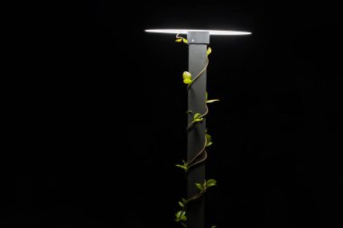 İtalya 'da deniz kenarında ve sokaklarda dolaşırken