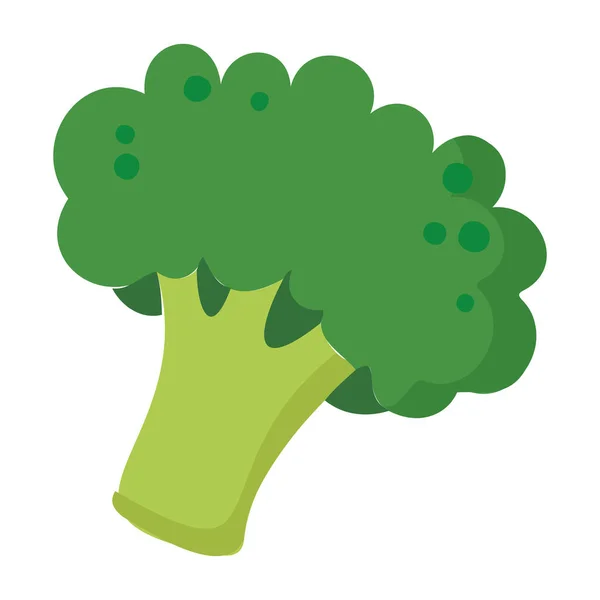 Izolowane Kolorowe Brokuły Roślinne Ikona Wektor Ilustracja — Wektor stockowy