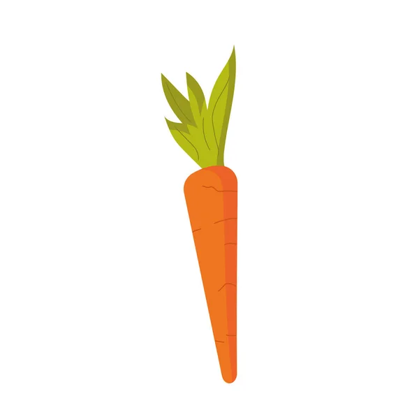 孤立的彩色胡萝卜蔬菜图标矢量插图 — 图库矢量图片