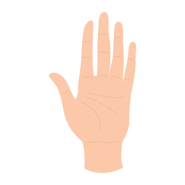 Isolerad Färgad Stop Hand Gest Vektor Illustration — Stock vektor