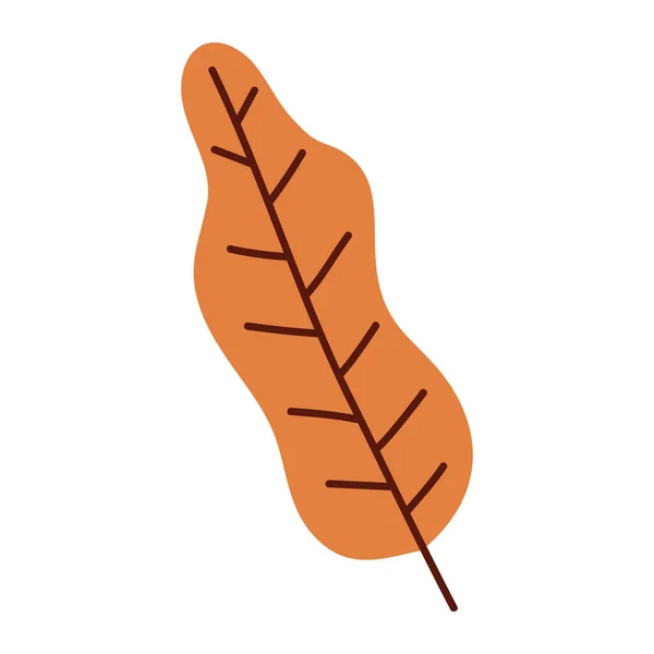색각의 나뭇잎 아이콘 일러스트 — 스톡 벡터