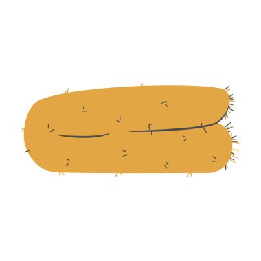 İzole edilmiş renkli kış levhası ikonu Vektör illüstrasyonuName