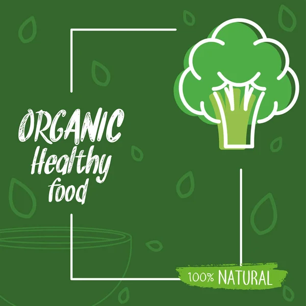 Brokoli Vektörü Illüstrasyonlu Organik Sağlıklı Yiyecek Posteri — Stok Vektör