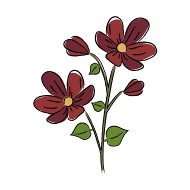 İzole edilmiş renkli gerçekçi çiçek çizimi Vektör illüstrasyonu