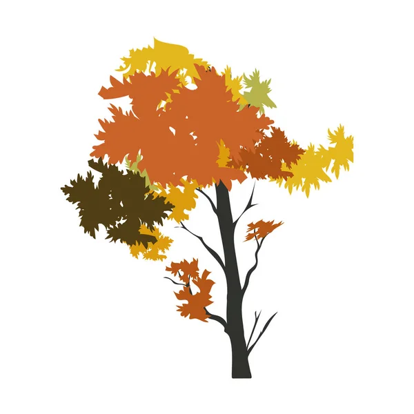 Μεμονωμένη Έγχρωμη Φθινοπωρινή Εικόνα Δέντρο Διάνυσμα Εικόνα — Διανυσματικό Αρχείο