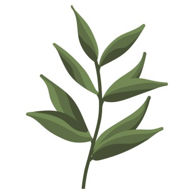 İzole edilmiş doğal mevsimlik yapraklar Vektör illüstrasyonu