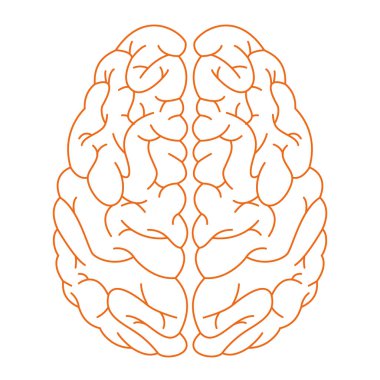 Bir beyin ikonu Vektör illüstrasyonunun izole edilmiş ana hatları