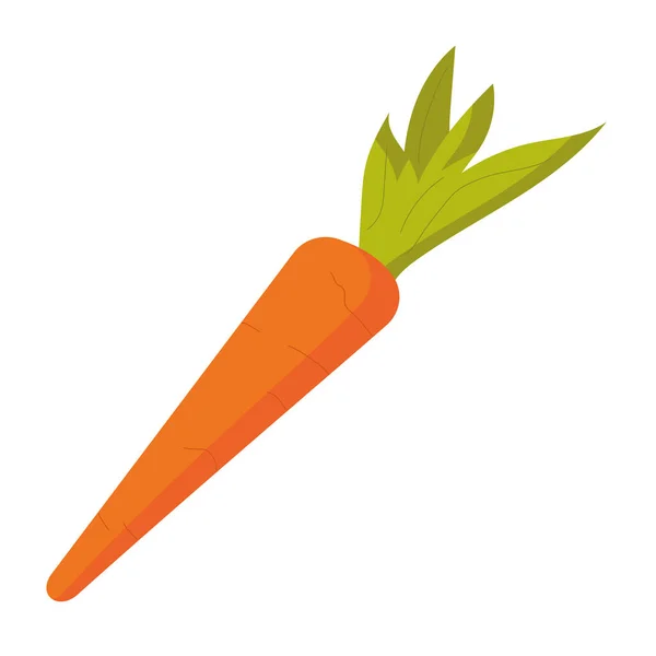 Isolated Colored Carrot Icon Flat Design Vector Illustration — Vector de stock