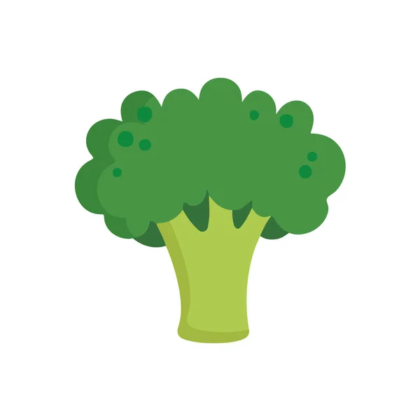 Geïsoleerde Gekleurde Broccoli Pictogram Plat Ontwerp Vector Illustratie — Stockvector