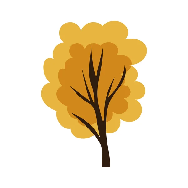 Изолированная Сезонная Икона Осеннего Дерева Векторная Иллюстрация — стоковый вектор