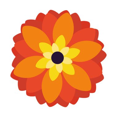 Ayrı renkte şirin çiçek ikonu Vektör illüstrasyonuName