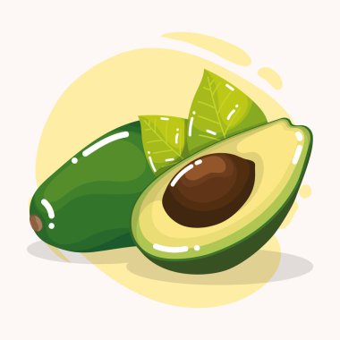 İzole edilmiş avokado meyve ikonu Sağlıklı gıda vektörü illüstrasyonu