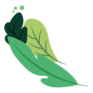 İzole edilmiş yaz yaprakları ikon Vektörü illüstrasyonuName