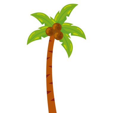 Hindistan cevizi vektörü illüstrasyonlu izole edilmiş renkli palmiye ağacı