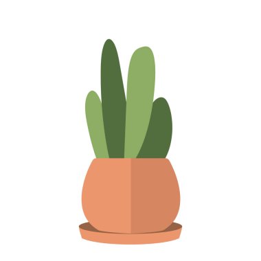Şirin kaktüs kapalı alan bitki ikonu Vektör illüstrasyonu